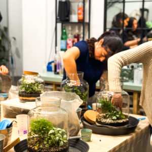 Ateliers Format L ( Terrarium fermé)