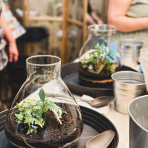 Atelier Format M (Terrarium fermé)