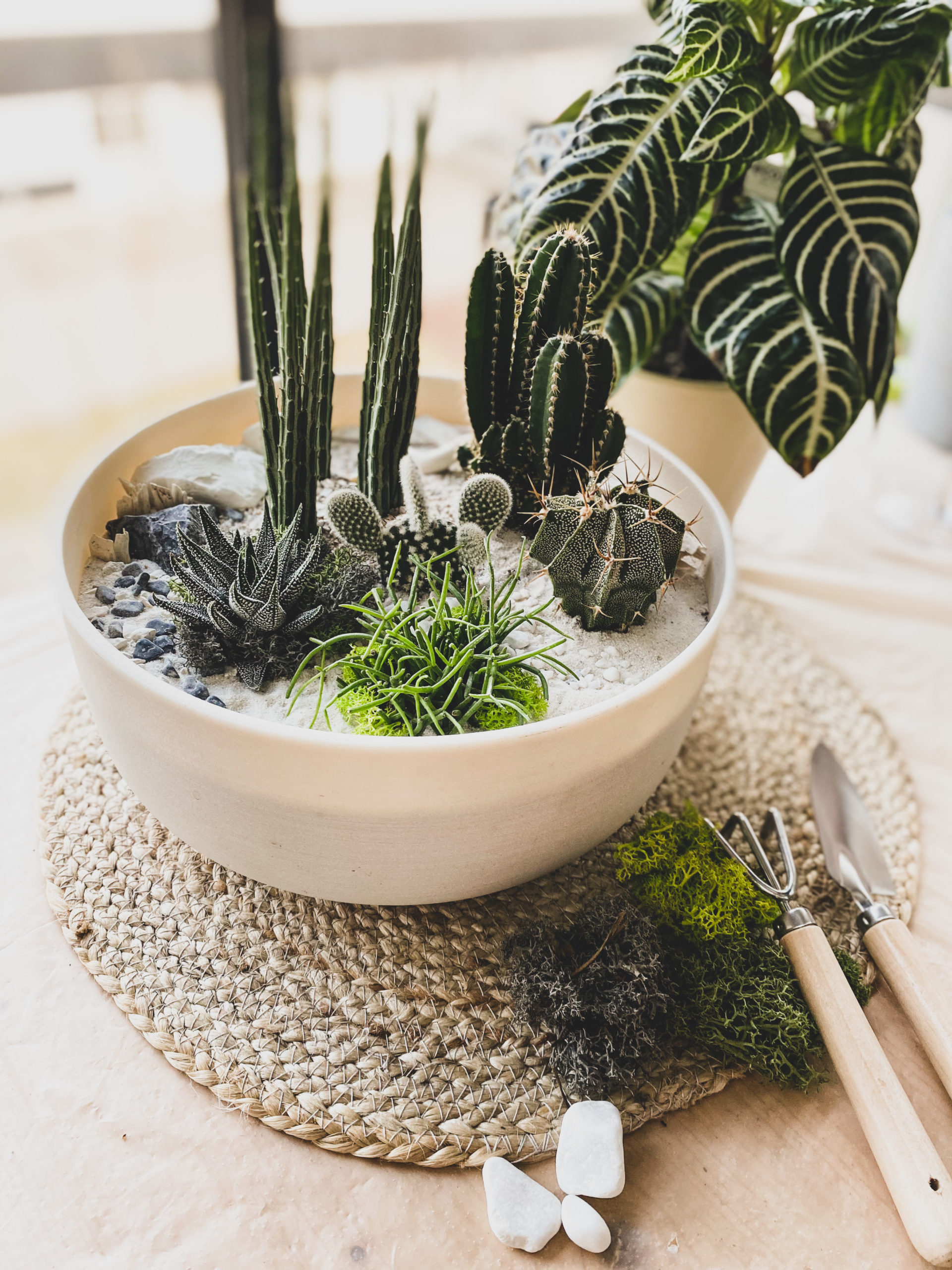 Kit_DIY_GardenCenter