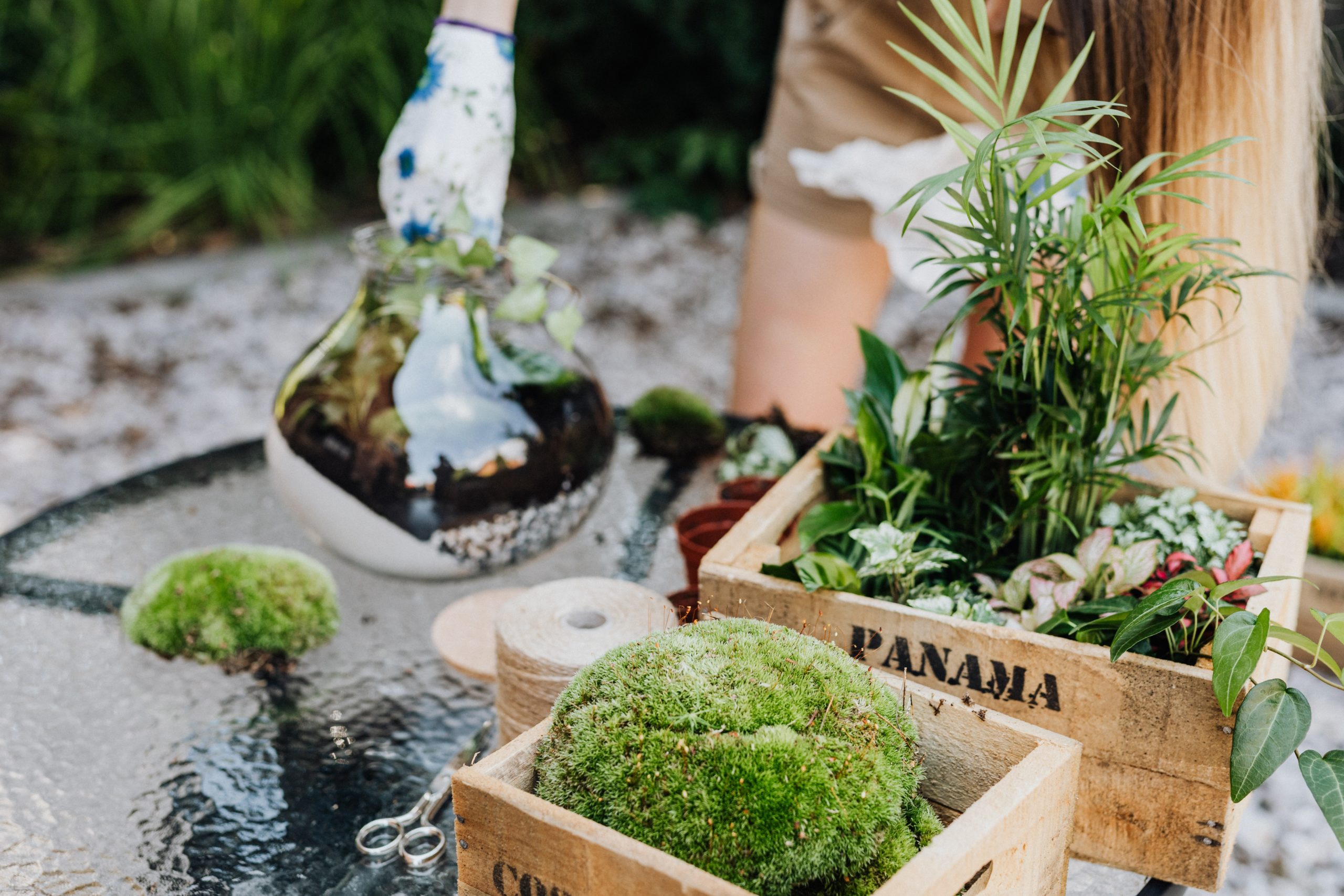 ateliers_terrariums_tinygarden.ch_etoy