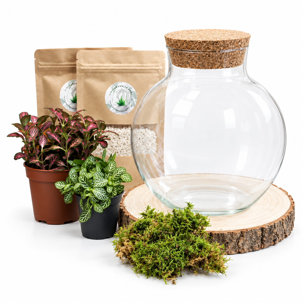 Kit DIY Green Bubble S (2 plantes)
