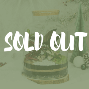 Bottle L (3 plantes)