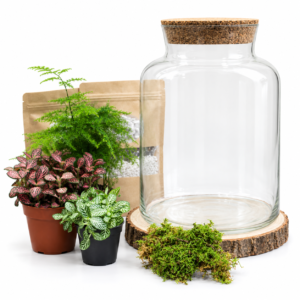 Kit DIY Bottle L (3 plantes)