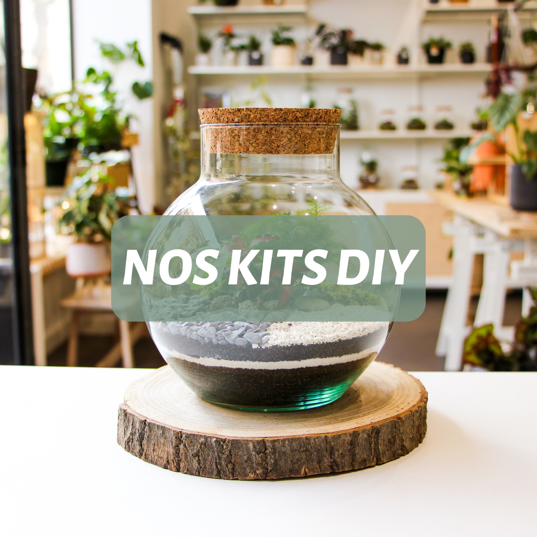 idées cadeaux de Noël Kits DIY faire soi-même boutique lausanne