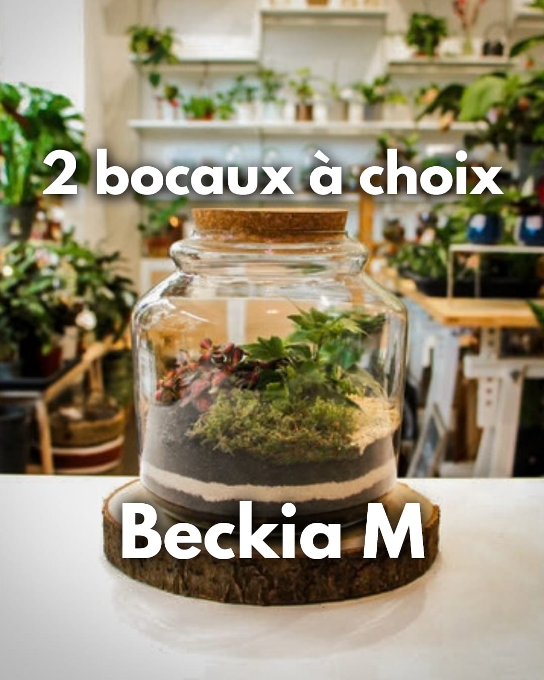 Atelier Format S ( Terrarium fermé) – Image 2