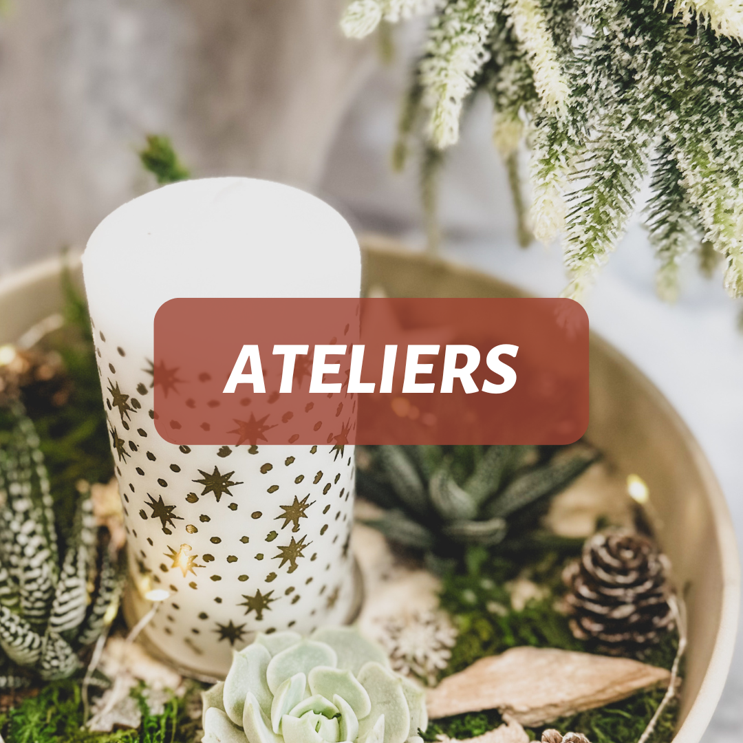 idée cadeau pour les fêtes de fin d'année Noël plantes vertes terrariums atelier kit diy livraisons retraits