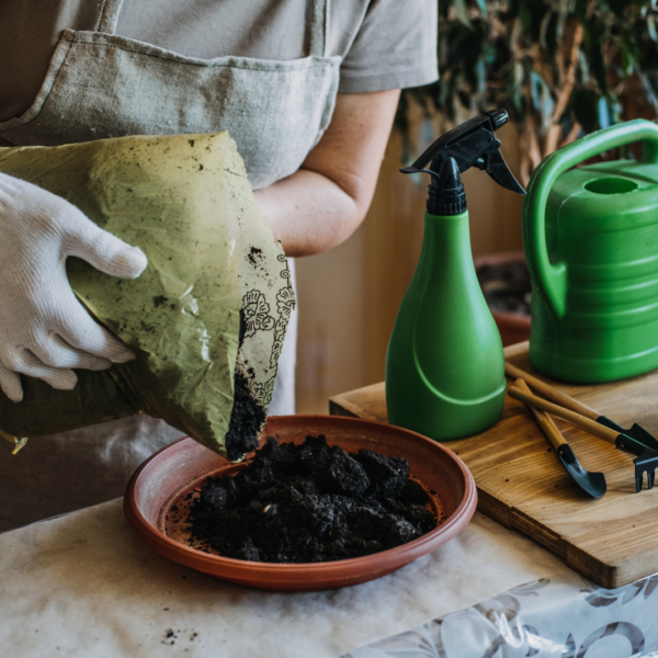 atelier rempotage plantes lausanne DIY Tinygarden