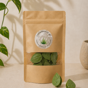 Pinces à grimper pour plantes d'intérieur (x12)