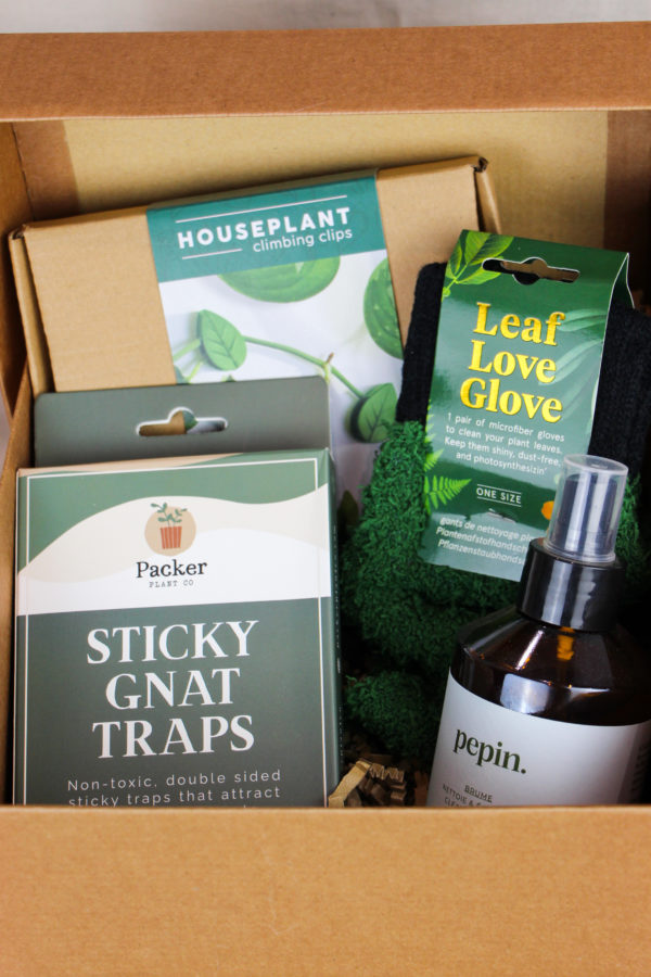 Le coffret « Jardin Intérieur » – Image 2