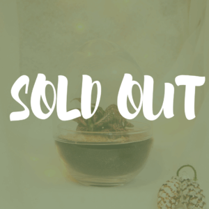 TinyEgg M - Exclusif! (1 plante)