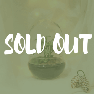 TinyEgg M (1 plante)