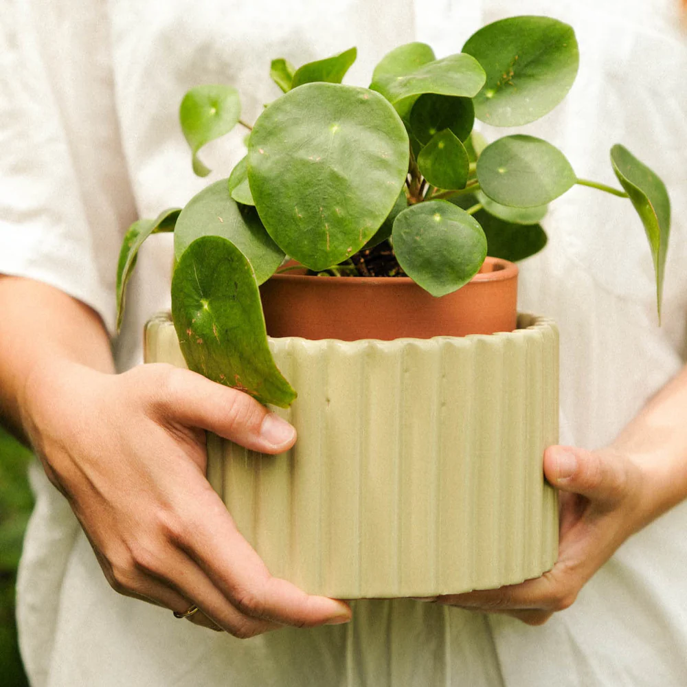 Pot Paula - autonome pour vos plantes – Image 2
