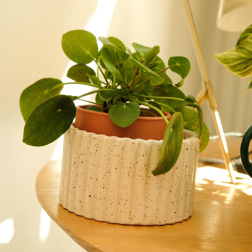 Pot Paula - autonome pour vos plantes – Image 3