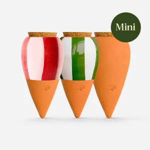 Trio Mini Ollas pour plantes - les colorées