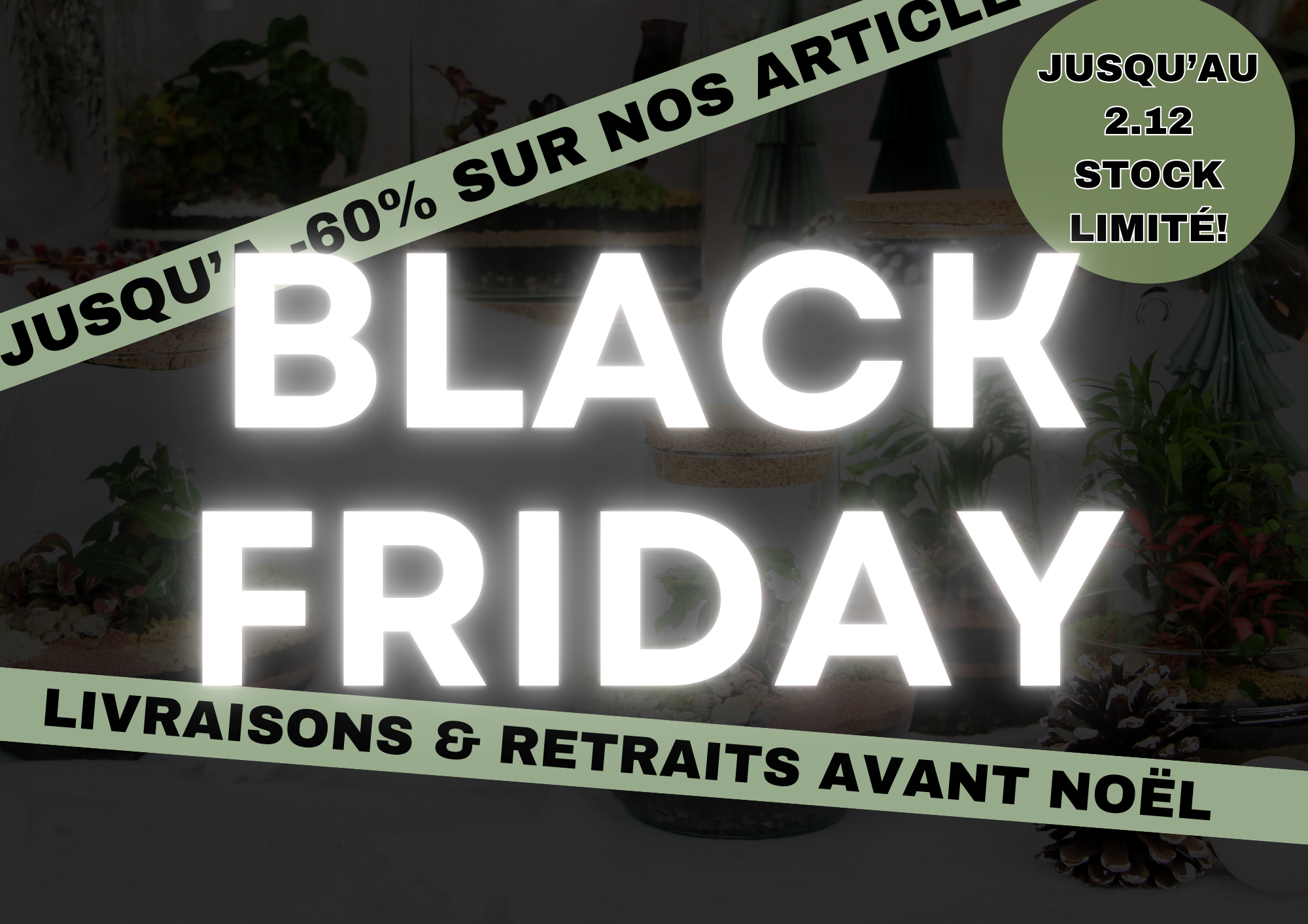 offre black friday tinygarden.ch à lausanne livraisons dans toute la suisse terrariums plantes kits diy