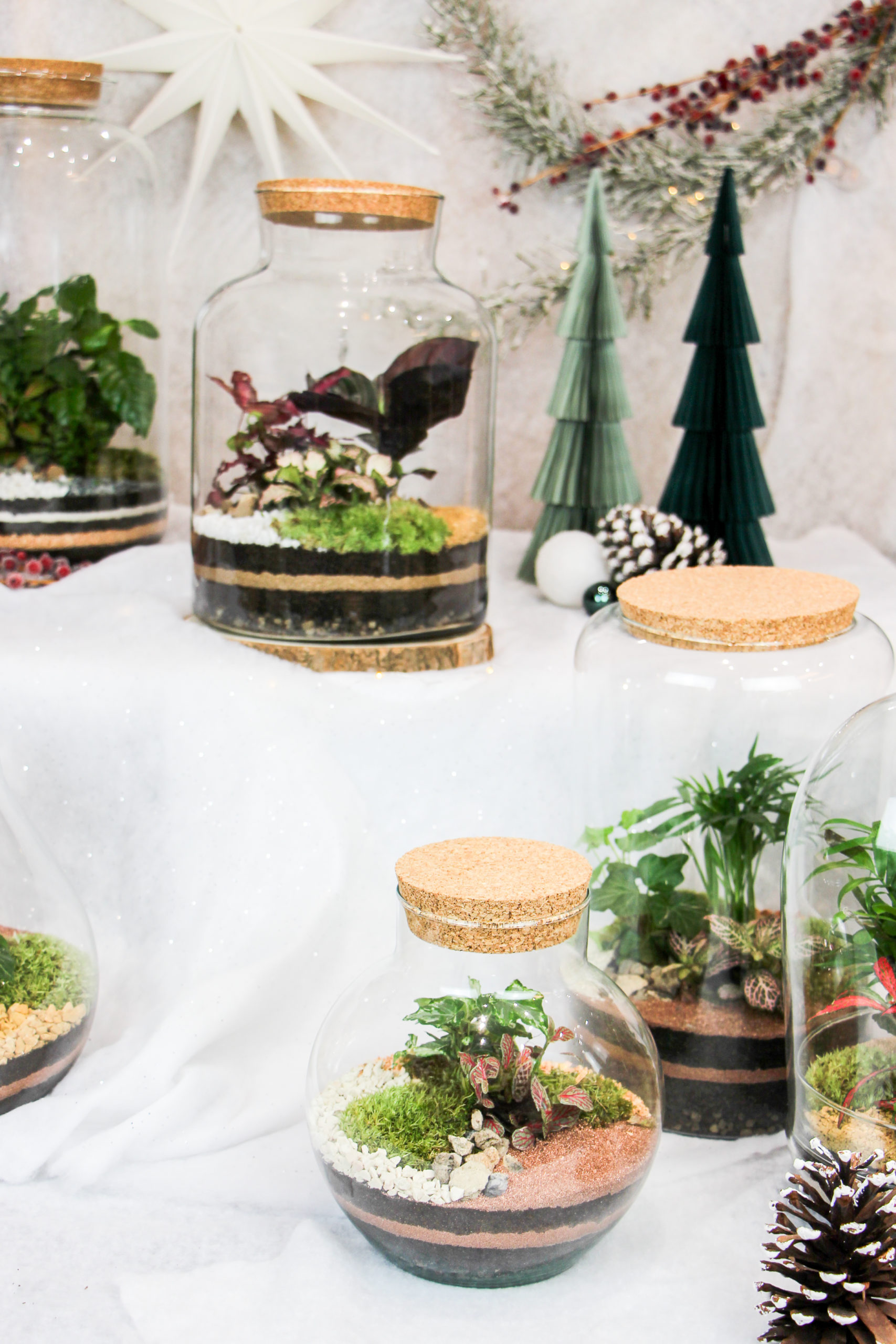 Terrariums fermés idée cadeau parfaite pour Noël de la marque Tinygarden.ch à Lausanne
