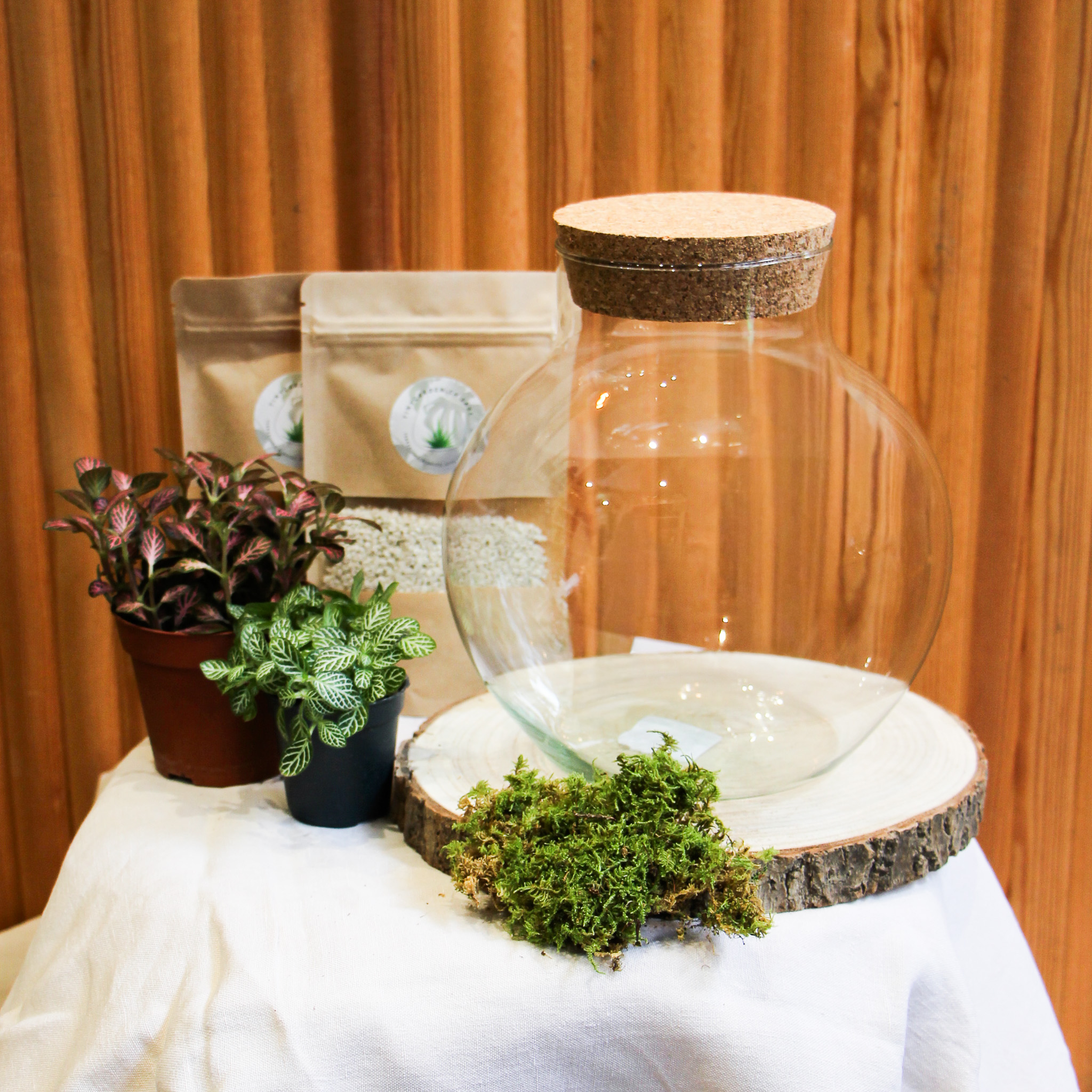 Kit DIY Green Bubble S (2 plantes)