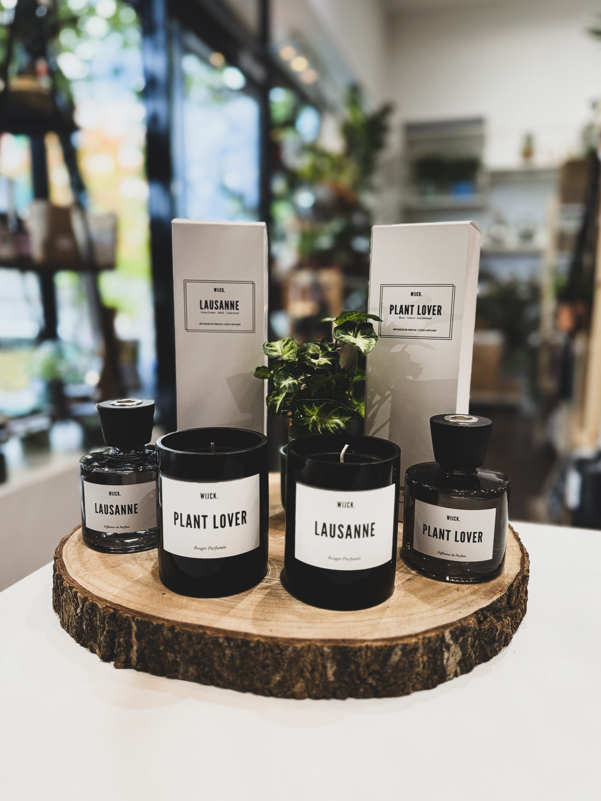 Diffuseur Parfumé- LAUSANNE – Image 2