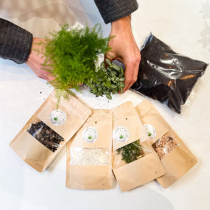 Kit DIY 2 plantes - Bocal non inclu