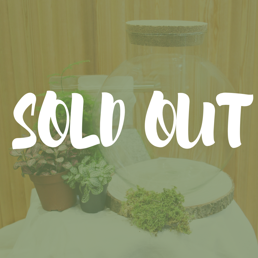 Kit DIY Green Bubble L (3 plantes)