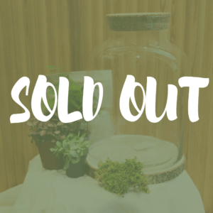 Kit DIY Bottle L (3 plantes)