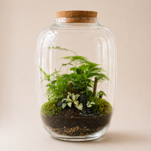 Bottle XL Jurassic (4 plantes)