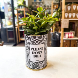 Pot Message - "Please don't die!"