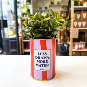 Pot Message - "Less Drama, More Water"