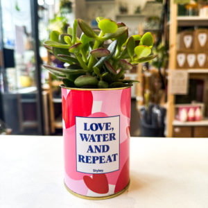 Pot Message - "Love, Water and Repeat"
