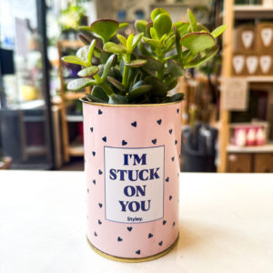 Pot Message - "I'm stuck on you"