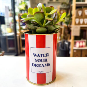 Pot Message - "Water your dreams"
