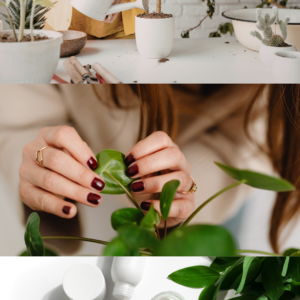 Atelier soin et entretien des plantes à Lausanne