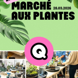 Atelier Terrarium Exclusif chez QoQa