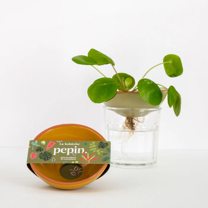 Bobèche Plantes - Jaune moutarde