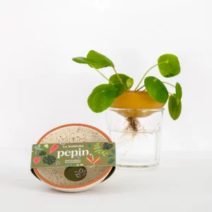 Bobèche Plantes - Blanc grainé