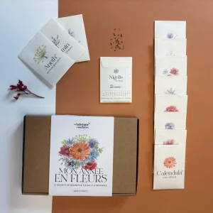 Mon Année en Fleurs - Coffret jardinage 12 sachets