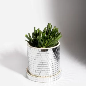Cache-pot Disco - 10 cm