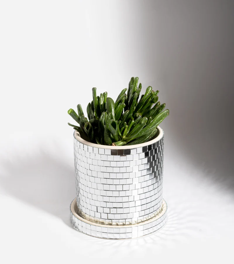 Cache-pot Disco - 10 cm