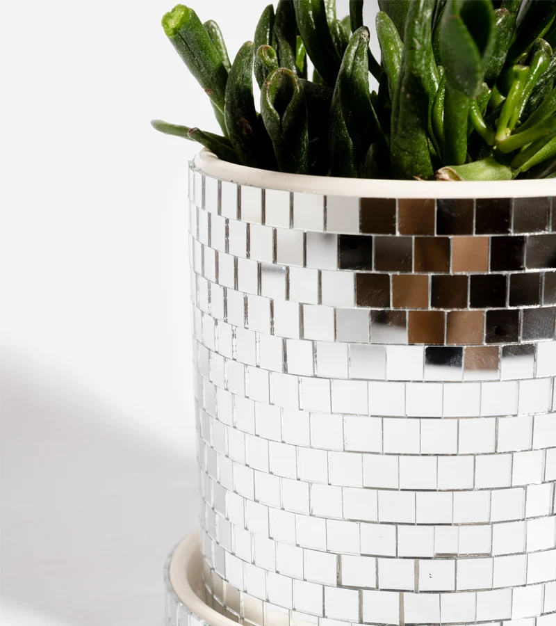 Cache-pot Disco - 10 cm – Image 3